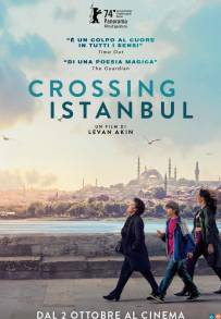 Crossing Istanbul (2024)