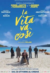 La vita va così (2025)