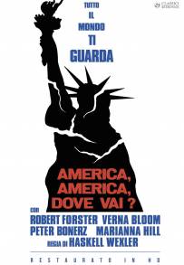 America, America, dove vai? (1969)