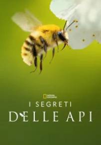 I segreti delle api (2026)