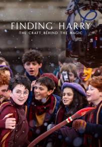 Finding Harry - L'arte dietro la magia (2026)