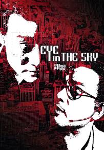 Eye in the Sky (2007)
