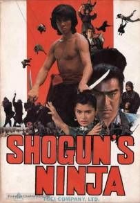 Ninja bugeicho momochi sandayu (1980)