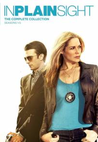 In Plain Sight - Protezione testimoni streaming