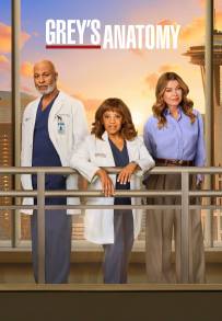 Grey's Anatomy streaming