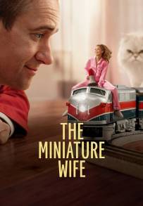The Miniature Wife - Un piccolo problema streaming
