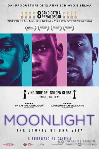 Moonlight [HD] (2016)