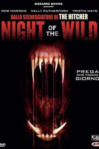 Night of the Wild [HD] (2015)