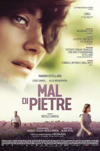 Mal di pietre [HD] (2016)