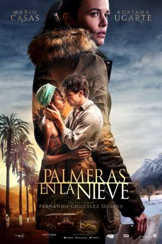 Palme nella neve [HD] (2015)