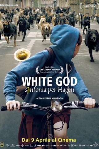 White God - Sinfonia per Hagen [HD] (2014)
