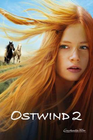 Windstorm 2 - Contro ogni regola [HD] (2015)