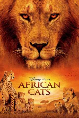 African Cats - Il regno del coraggio [HD] (2011)