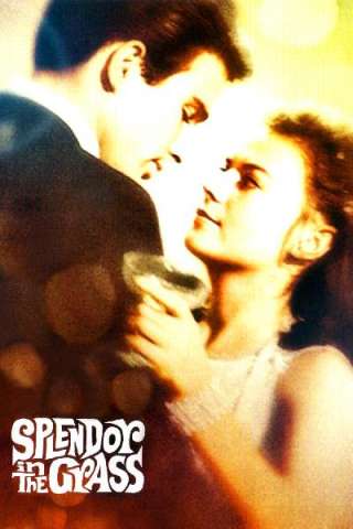 Splendore nell'erba [HD] (1961)