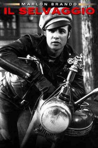 Il selvaggio [HD] (1953)