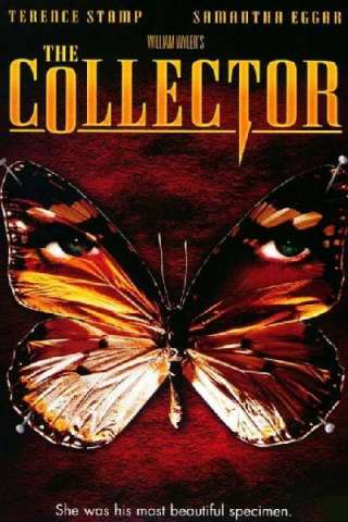 Il collezionista [HD] (1965)