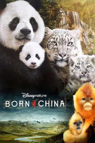 Born in China [HD] (2016)