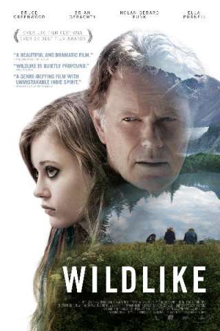 Wildlike [HD] (2014)