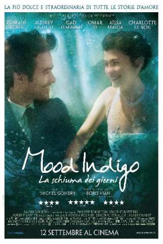 Mood Indigo - La schiuma dei giorni [HD] (2013)