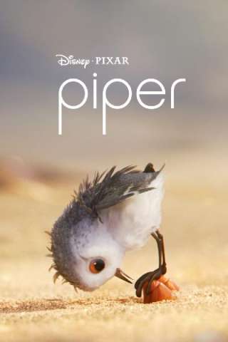 Piper [HD] (2016)