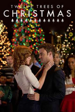 12 alberi di Natale [HD] (2013)