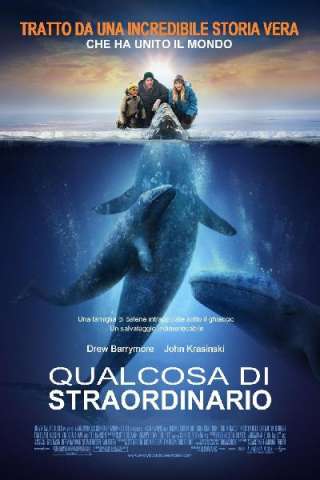 Qualcosa di straordinario [HD] (2012)