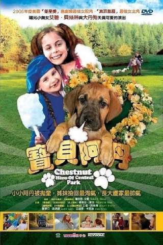 Chestnut - L'eroe di Central Park [HD] (2004)