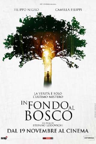 In fondo al bosco [HD] (2015)