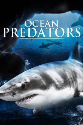 Ocean Predators [HD] (2013)