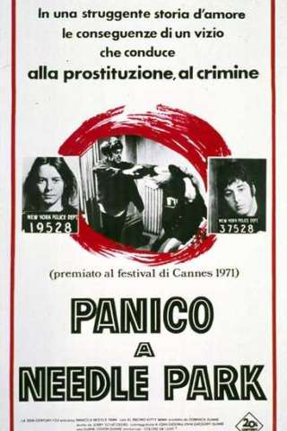 Panico a Needle Park [HD] (1971)