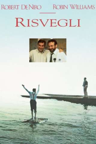 Risvegli [HD] (1990)