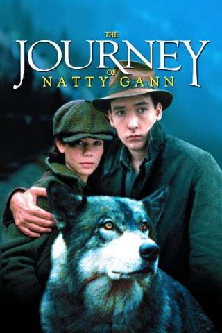 Il viaggio di Natty Gann [HD] (1985)