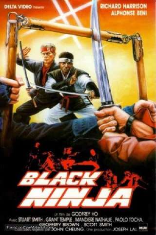 Ninja Silent Assassin [HD] (1987)