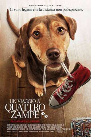 Un viaggio a quattro zampe [HD] (2019)