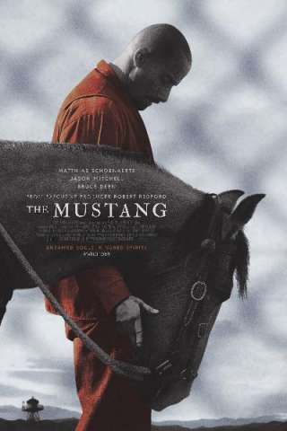 The Mustang [HD] (2019)
