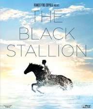 Black Stallion [HD] (1979)