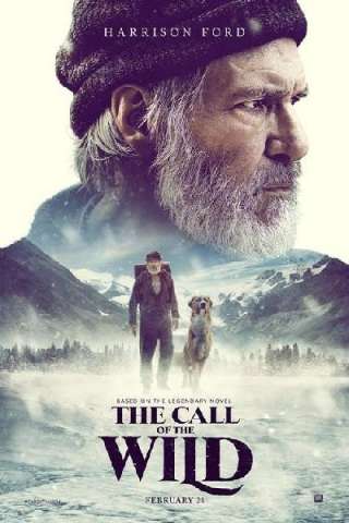 Il richiamo della foresta [HD] (2020)