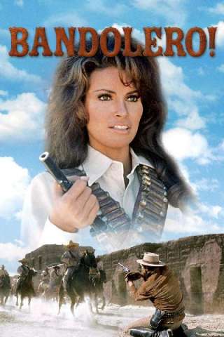 Bandolero! [HD] (1968)