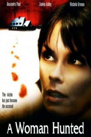 In fuga dalla legge [HD] (2003)