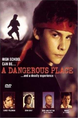 Un gioco molto pericoloso [HD] (1995)