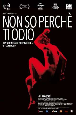 Non so perchè ti odio [HD] (2014)