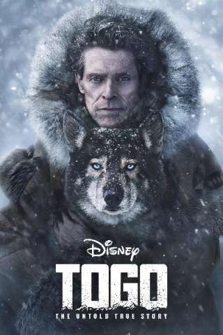 Togo: Una grande amicizia [HD] (2019)