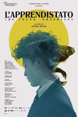 L'apprendistato [HD] (2019)