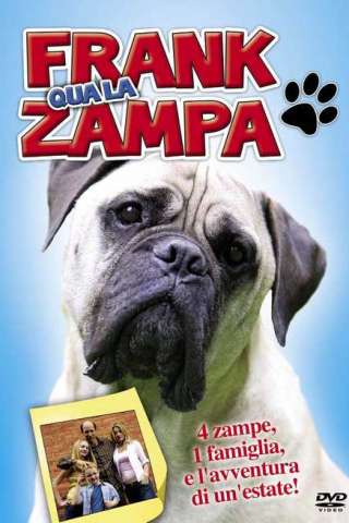 Frank qua la zampa [HD] (2007)