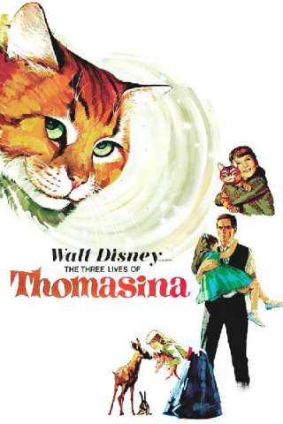 Le tre vite della gatta Tommasina [HD] (1963)