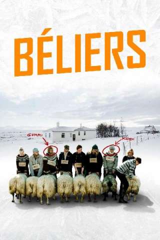 Rams - Storia di due fratelli e otto pecore [HD] (2015)