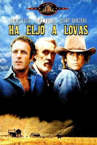 Arriva un cavaliere libero e selvaggio [HD] (1978)
