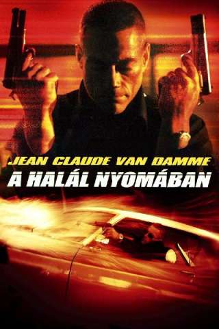 Wake of Death - Scia di morte [HD] (2004)