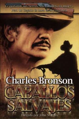 Valdez, il mezzosangue [HD] (1973)
