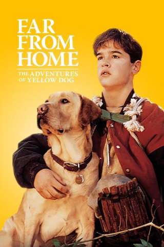 Lontano da casa [HD] (1995)